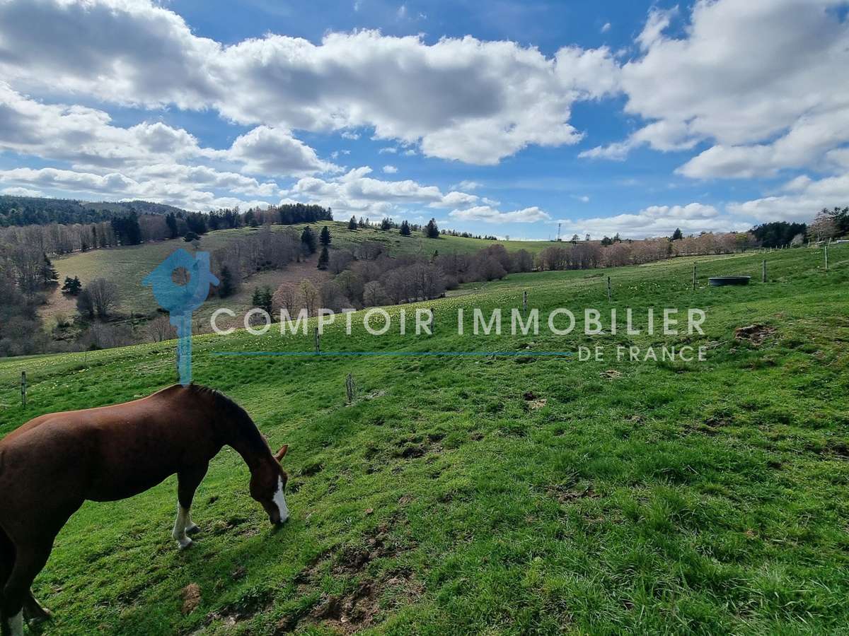 Maison Le Lac-d'Issarlès