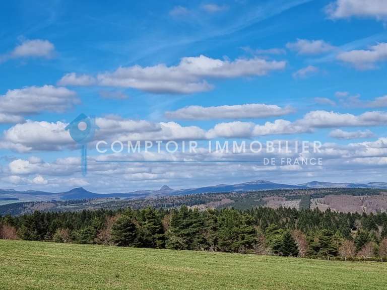 Maison Le Lac-d'Issarlès - 6 chambres - 280m²