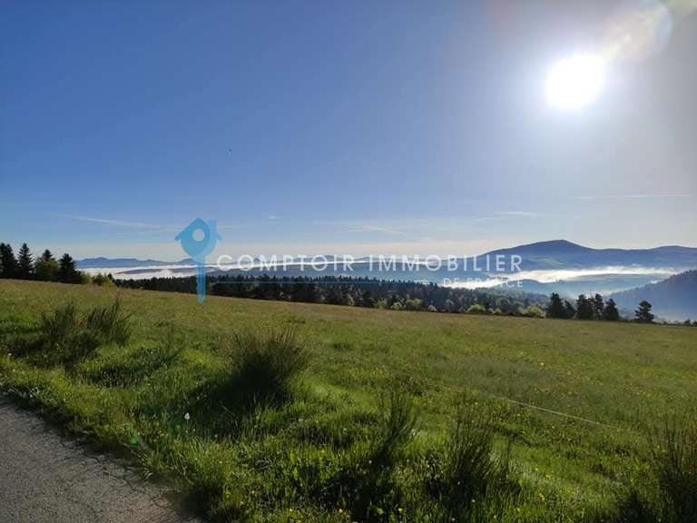 Maison Le Lac-d'Issarlès - 6 chambres - 280m²