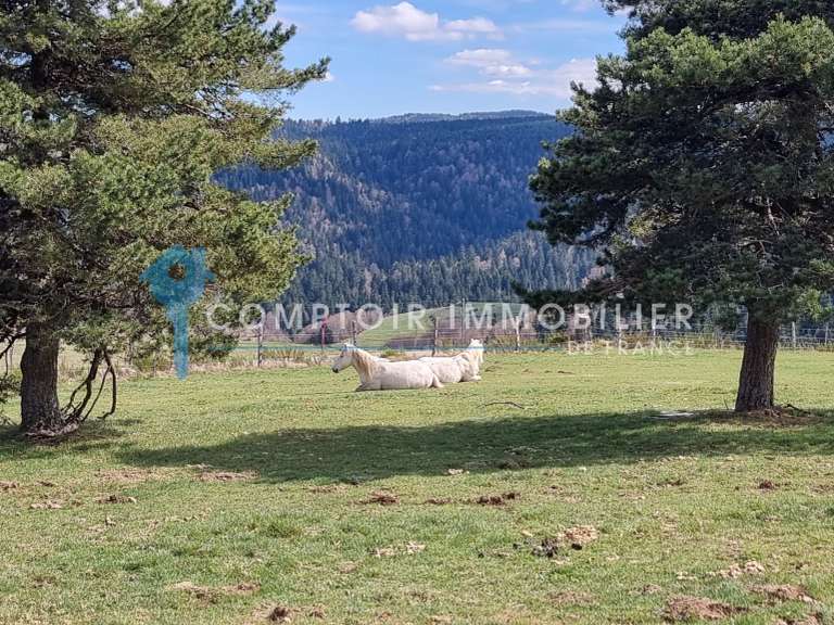 Maison Le Lac-d'Issarlès - 6 chambres - 280m²