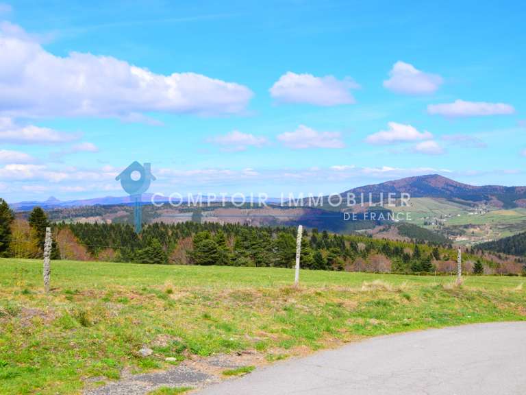 Maison Le Lac-d'Issarlès - 6 chambres - 280m²