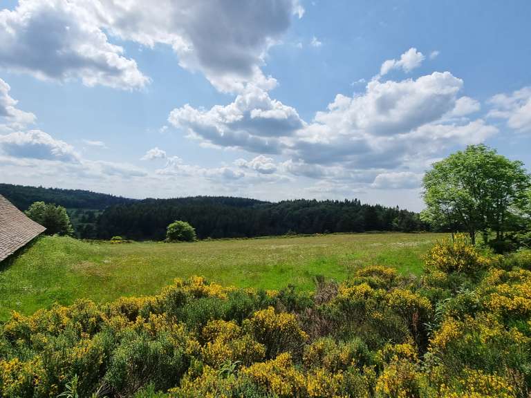 Propriété Le Lac-d'Issarlès - 6 chambres - 600m²