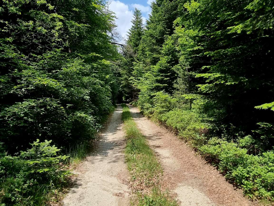 Property Le Lac-d'Issarlès