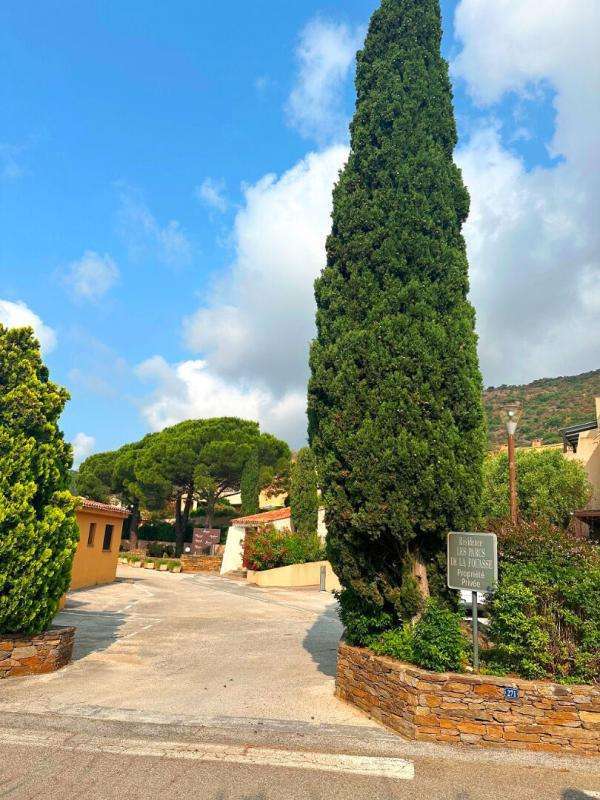 Appartement Le Lavandou