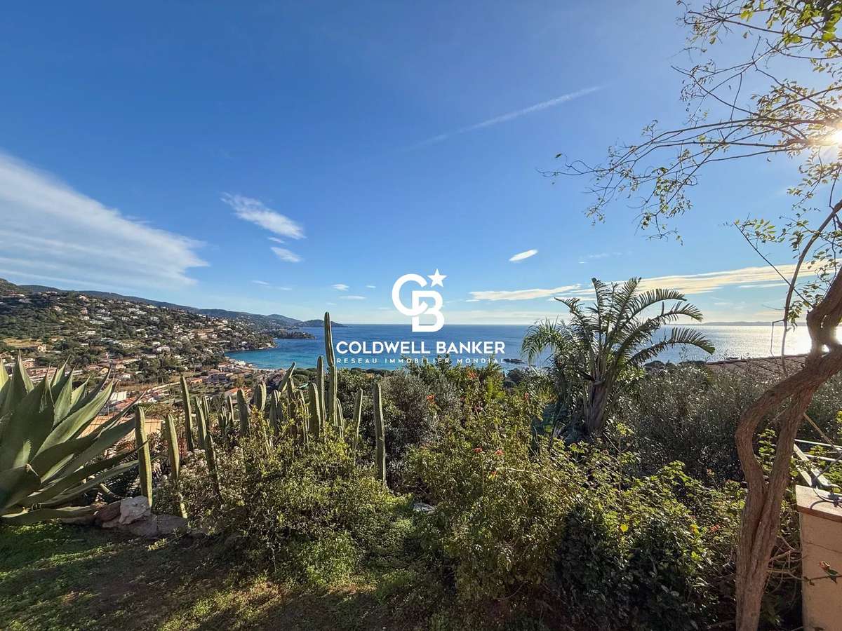 House Le Lavandou