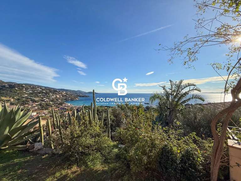 House Le Lavandou - 3 bedrooms - 111m²