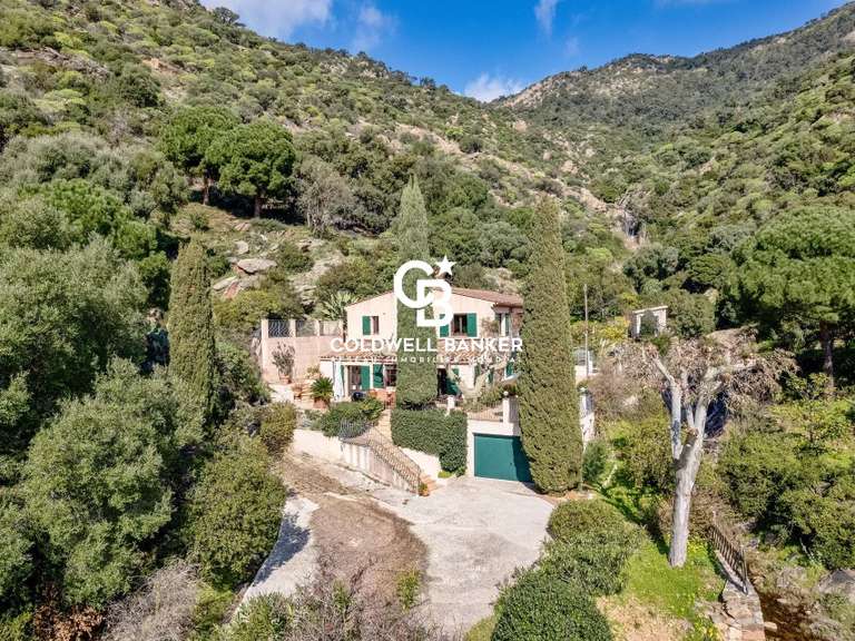 Maison avec Vue sur mer Le Lavandou - 6 chambres - 246m²