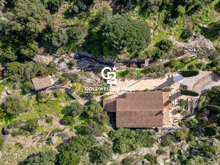 Maison avec Vue sur mer Le Lavandou - 6 chambres - 246m²