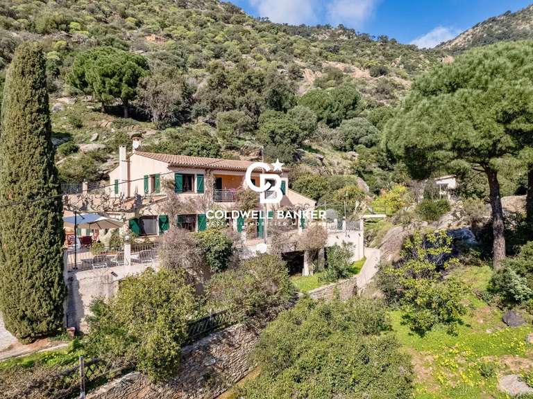 Maison avec Vue sur mer Le Lavandou - 6 chambres - 246m²