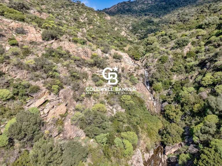 Maison avec Vue sur mer Le Lavandou - 6 chambres - 246m²