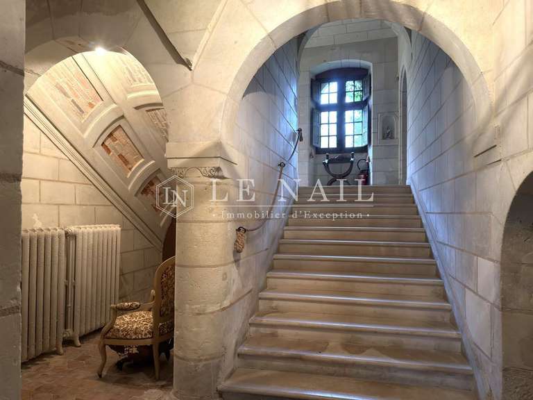 Château Le Lion-d'Angers - 13 chambres - 800m²