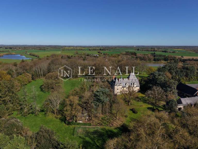 Château Le Lion-d'Angers - 13 chambres - 800m²