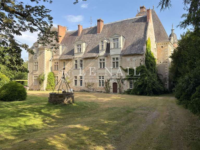 Château Le Lion-d'Angers - 13 chambres - 800m²