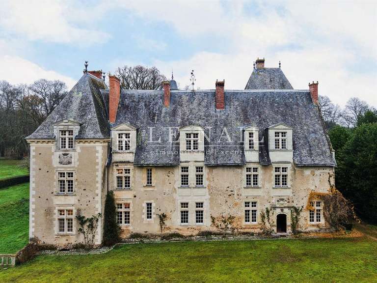 Château Le Lion-d'Angers - 13 chambres - 800m²