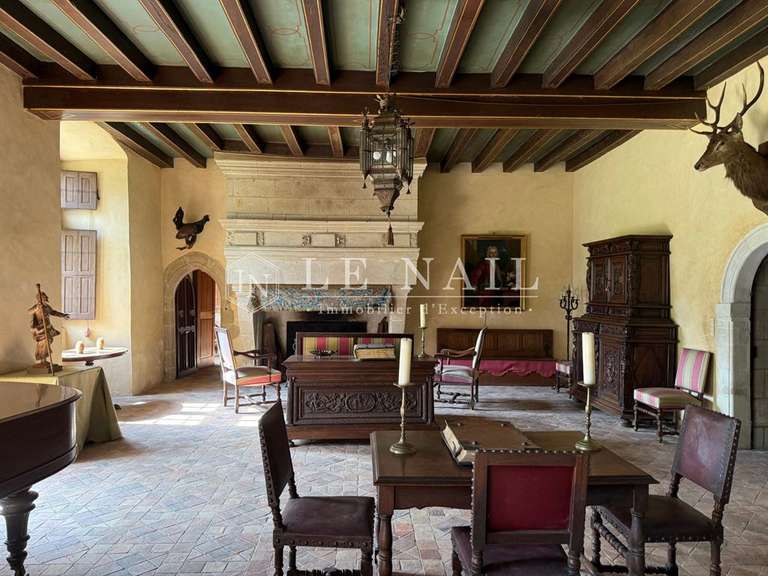 Castle Le Lion-d'Angers - 13 bedrooms - 800m²