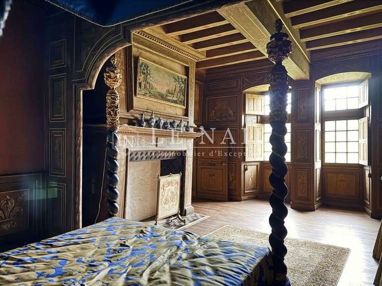 Château Le Lion-d'Angers - 13 chambres - 800m²
