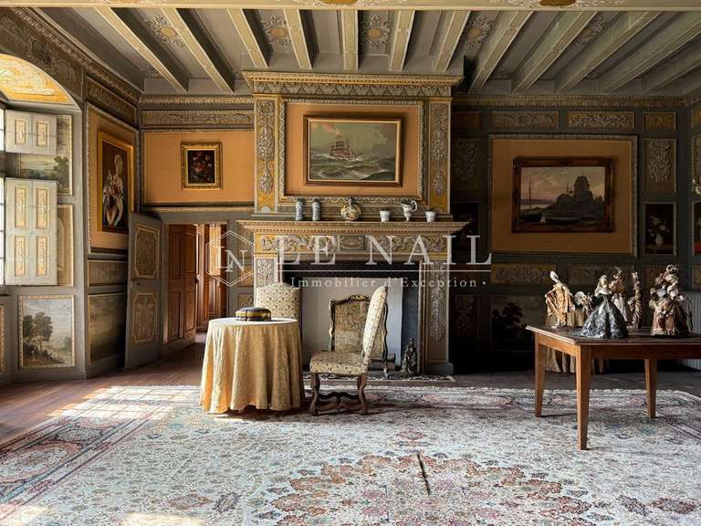 Castle Le Lion-d'Angers - 13 bedrooms - 800m²