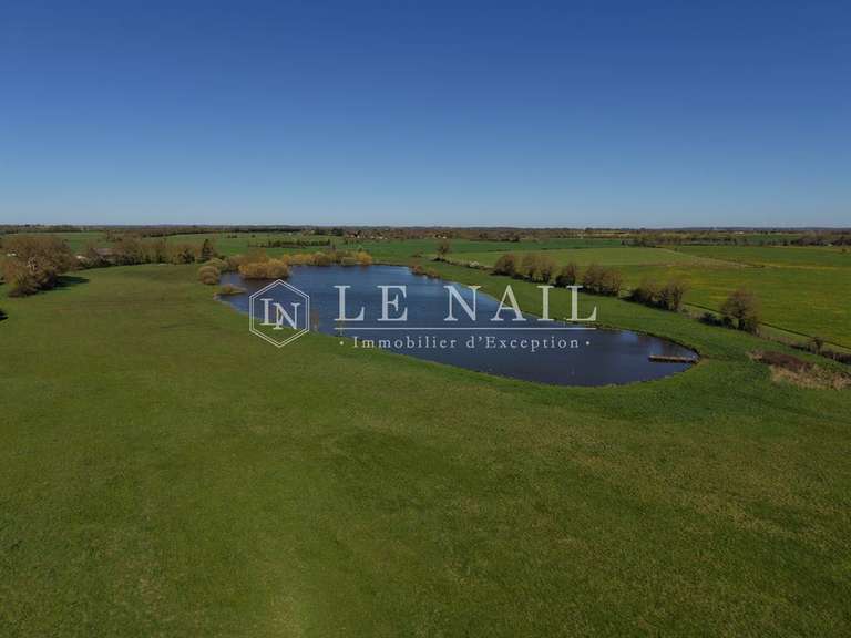 Château Le Lion-d'Angers - 13 chambres - 800m²