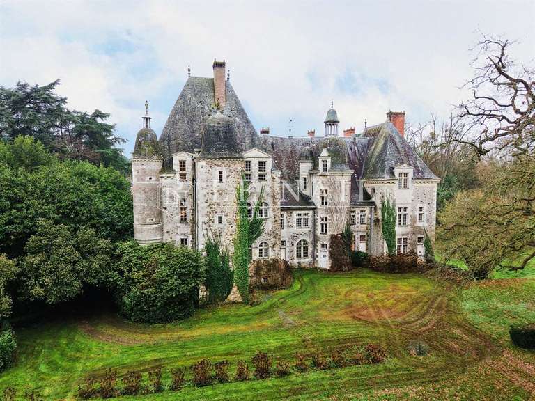 Château Le Lion-d'Angers - 13 chambres - 800m²