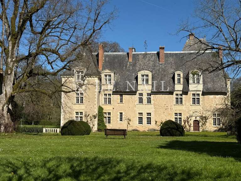 Château Le Lion-d'Angers - 13 chambres - 800m²