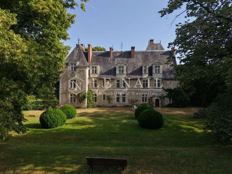 Château Le Lion-d'Angers - 13 chambres - 800m²