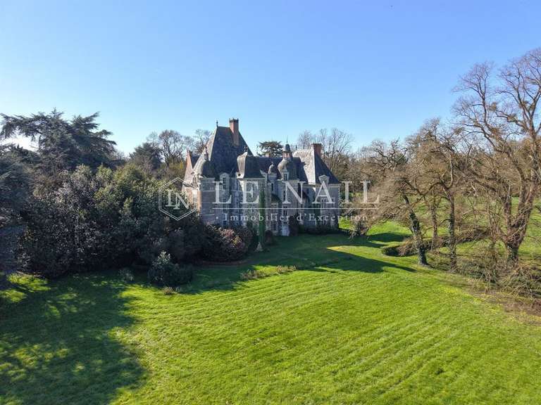 Château Le Lion-d'Angers - 13 chambres - 800m²