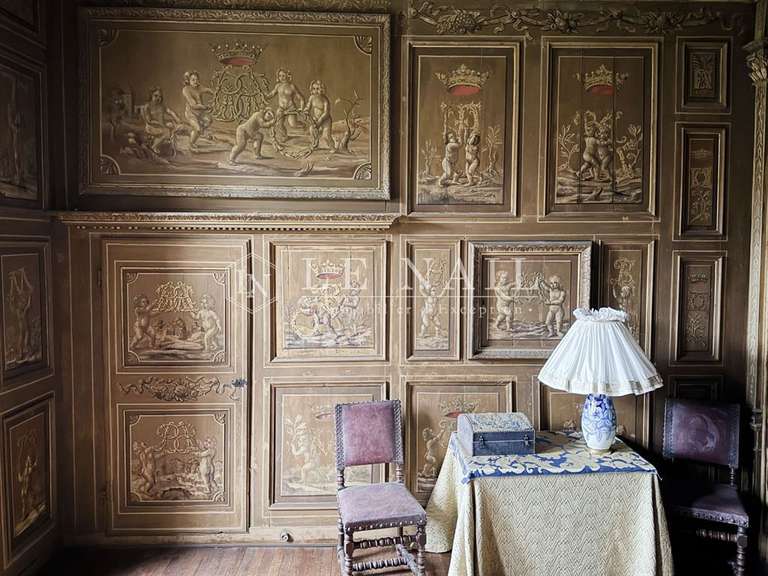 Château Le Lion-d'Angers - 13 chambres - 800m²