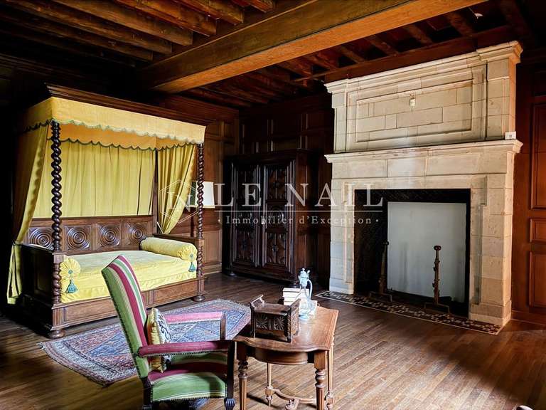 Château Le Lion-d'Angers - 13 chambres - 800m²