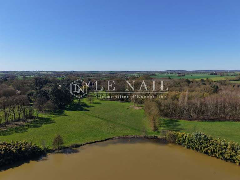 Château Le Lion-d'Angers - 13 chambres - 800m²