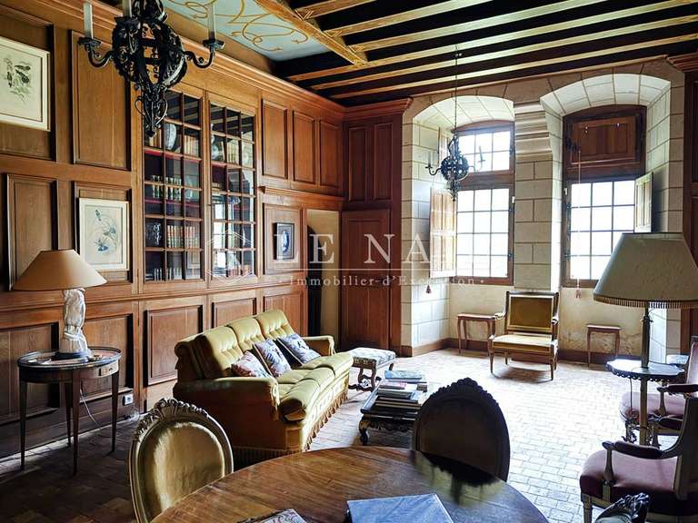 Château Le Lion-d'Angers - 13 chambres - 800m²