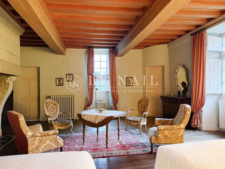 Château Le Lion-d'Angers - 13 chambres - 800m²