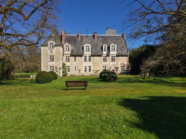 Château Le Lion-d'Angers - 13 chambres - 800m²