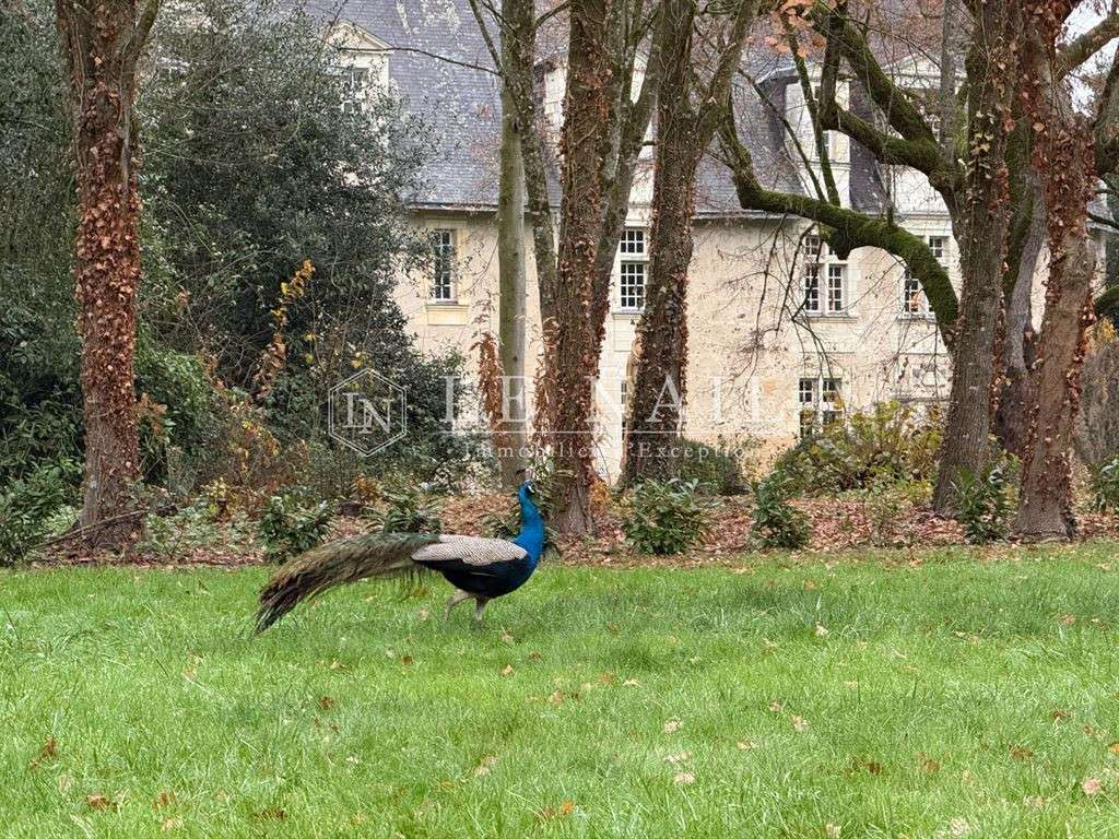 Château Le Lion-d'Angers