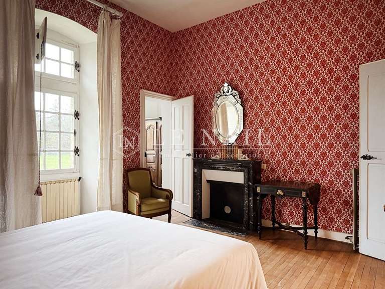 Château Le Lion-d'Angers - 13 chambres - 800m²