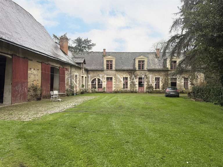 Château Le Lion-d'Angers - 13 chambres - 800m²