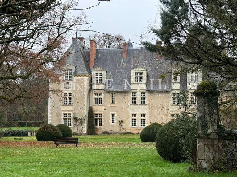 Château Le Lion-d'Angers - 13 chambres - 800m²