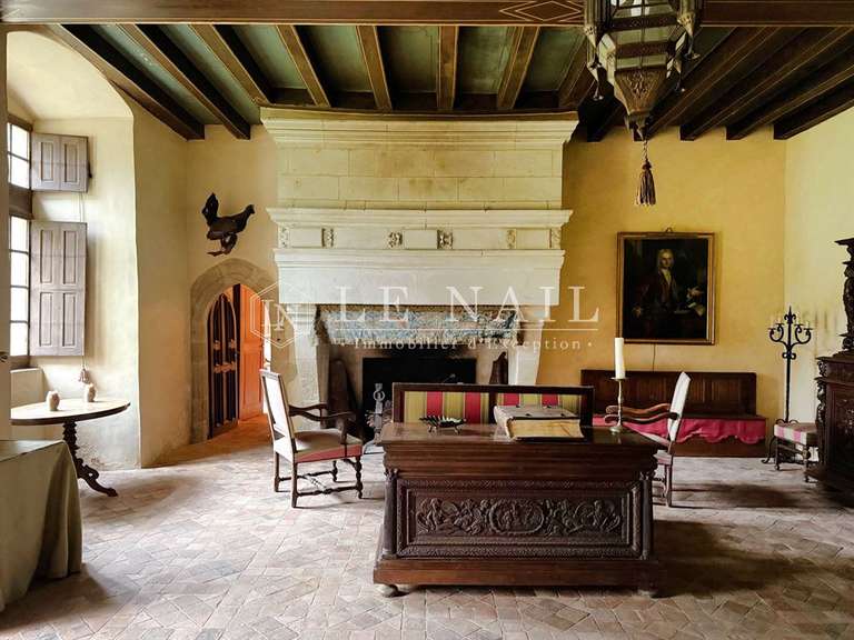 Château Le Lion-d'Angers - 13 chambres - 800m²