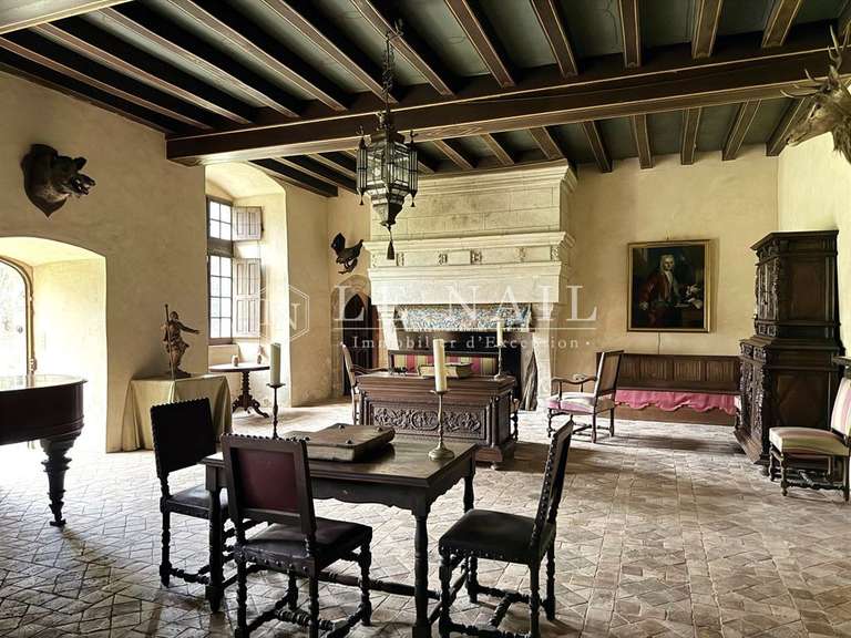 Château Le Lion-d'Angers - 13 chambres - 800m²