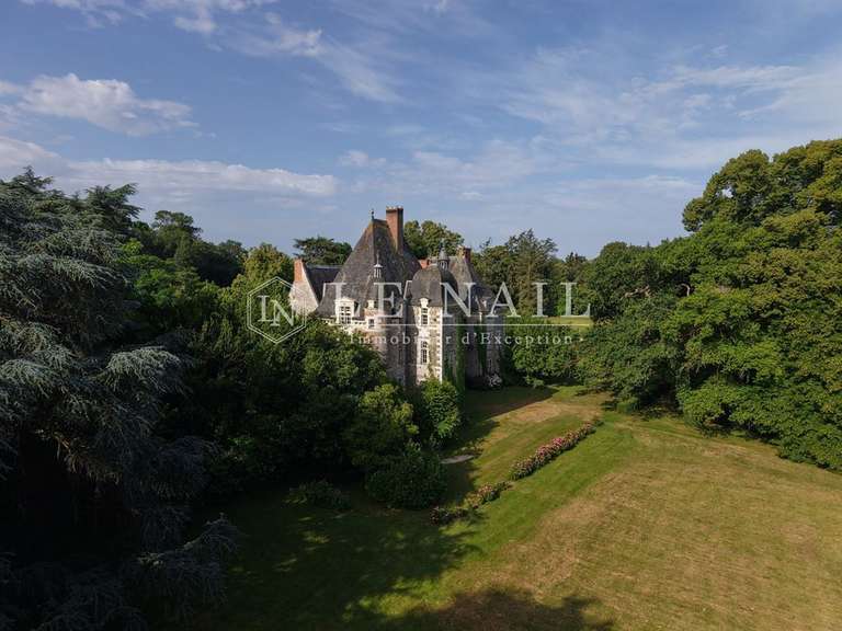 Château Le Lion-d'Angers - 13 chambres - 800m²