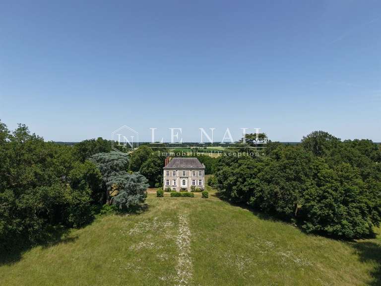 Château Le Lion-d'Angers - 6 chambres - 400m²