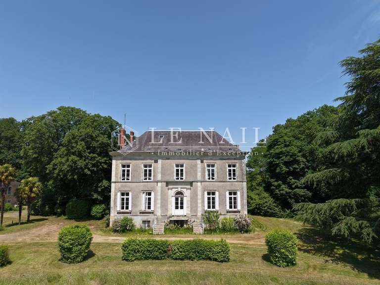 Château Le Lion-d'Angers - 6 chambres - 400m²