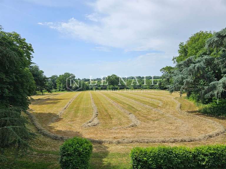 Château Le Lion-d'Angers - 6 chambres - 400m²