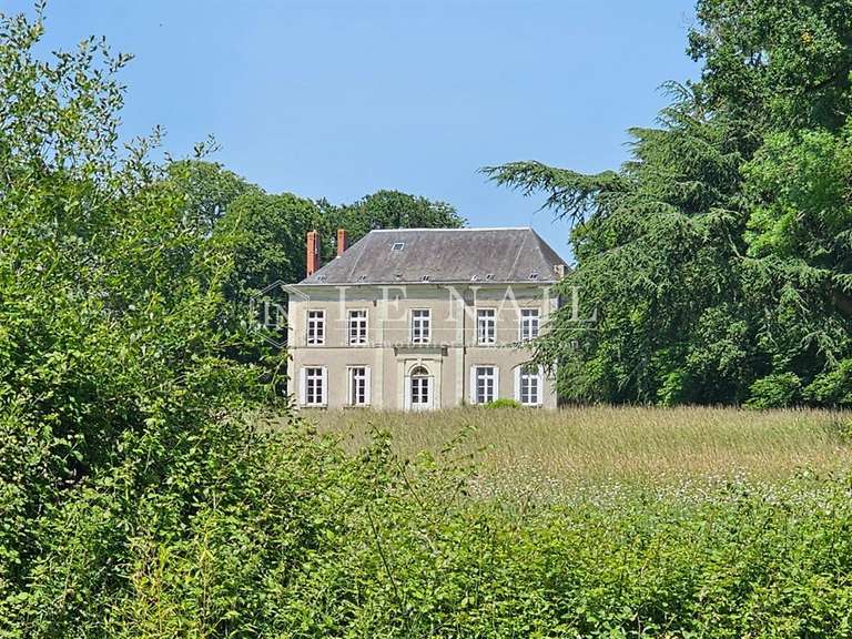 Château Le Lion-d'Angers - 6 chambres - 400m²