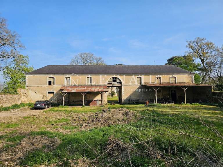 Château Le Lion-d'Angers - 6 chambres - 400m²