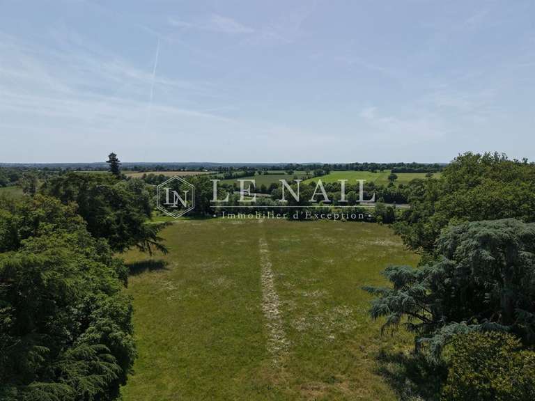 Château Le Lion-d'Angers - 6 chambres - 400m²