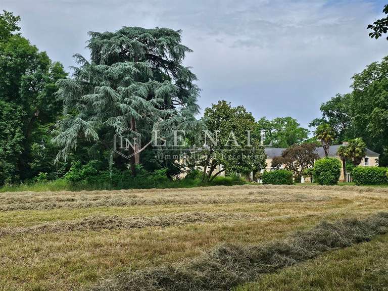 Château Le Lion-d'Angers - 6 chambres - 400m²