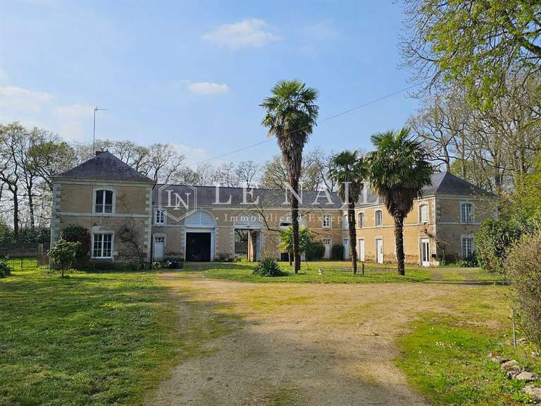 Château Le Lion-d'Angers - 6 chambres - 400m²
