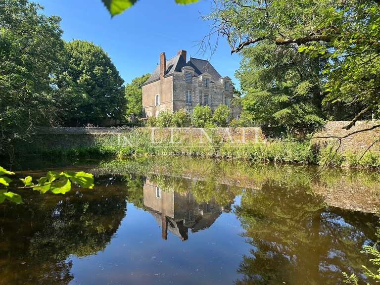 Manoir Le Loroux-Bottereau - 8 chambres - 397m²