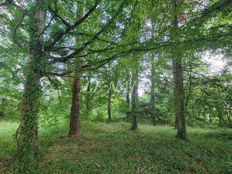 Château Le Mans - 13 chambres - 900m²