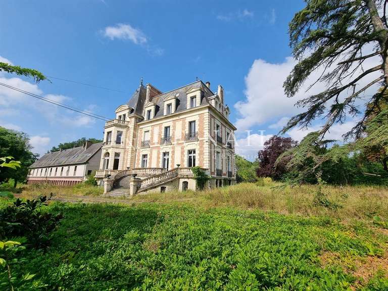 Château Le Mans - 13 chambres - 900m²